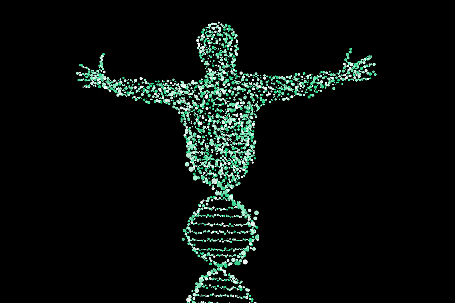 Human Genetics Confirms Mutations as the Drivers of Diversity and Evolution